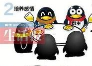 娱乐吃瓜qq群免费阅读,免费阅读背后的故事